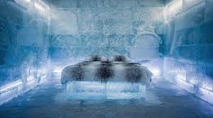 Carved chamber of ice and packed snow with a low sleeping platform under a vaulted roof
