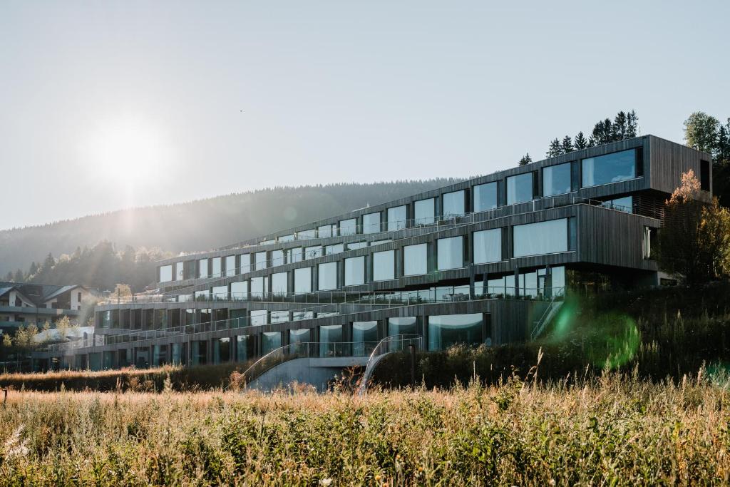 Stepped building of glass and timber descending a slope in a valley